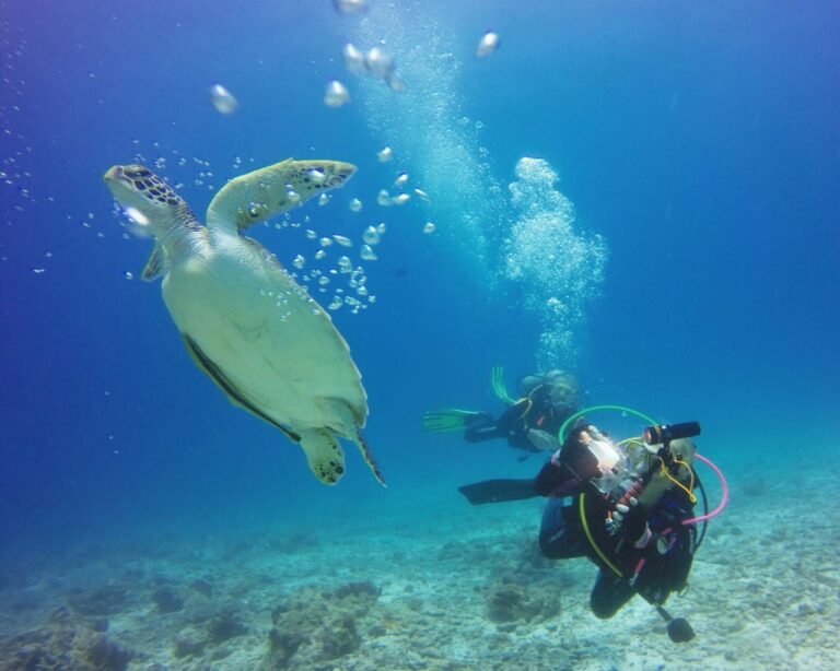 Scuba diver swimming alongside a green sea turtle on a Zanzibar reef