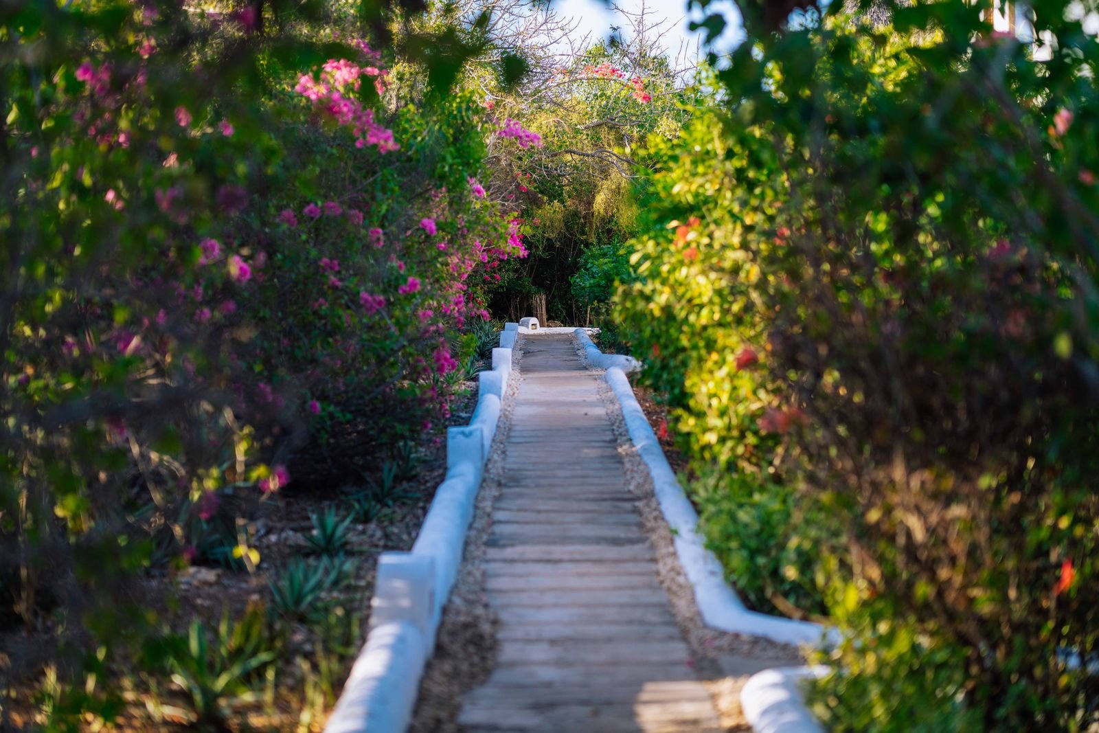 Garden path lined with bougainvillea and tropical plants leading through the hotel grounds